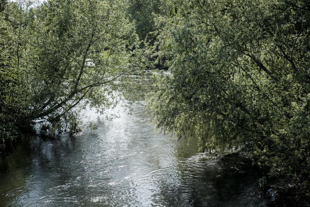 Hinds Head Hotel Aldermaston Buitenkant foto
